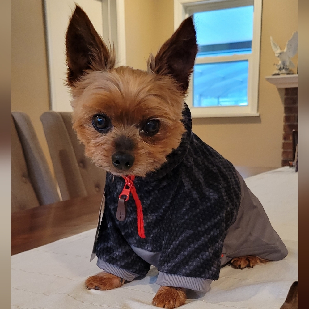 Reddy Pet Dog Base Layer Shirt S